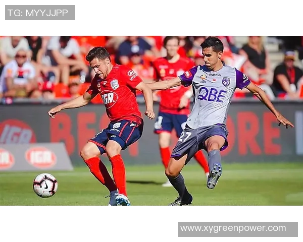 纽喷射与阿德莱的精彩对决分析及赛季展望