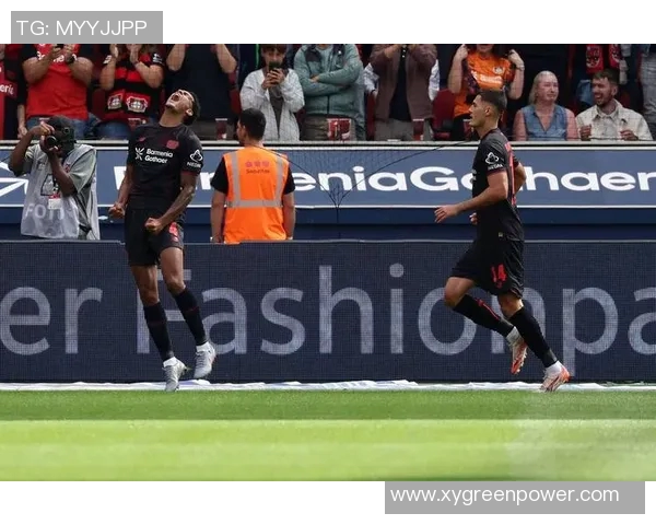 勒沃库森迎战帕德博恩全力争胜力争德甲积分榜上升