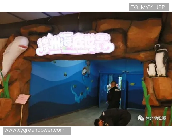 徐州足球比赛直播观看指南及平台推荐一站式信息分享